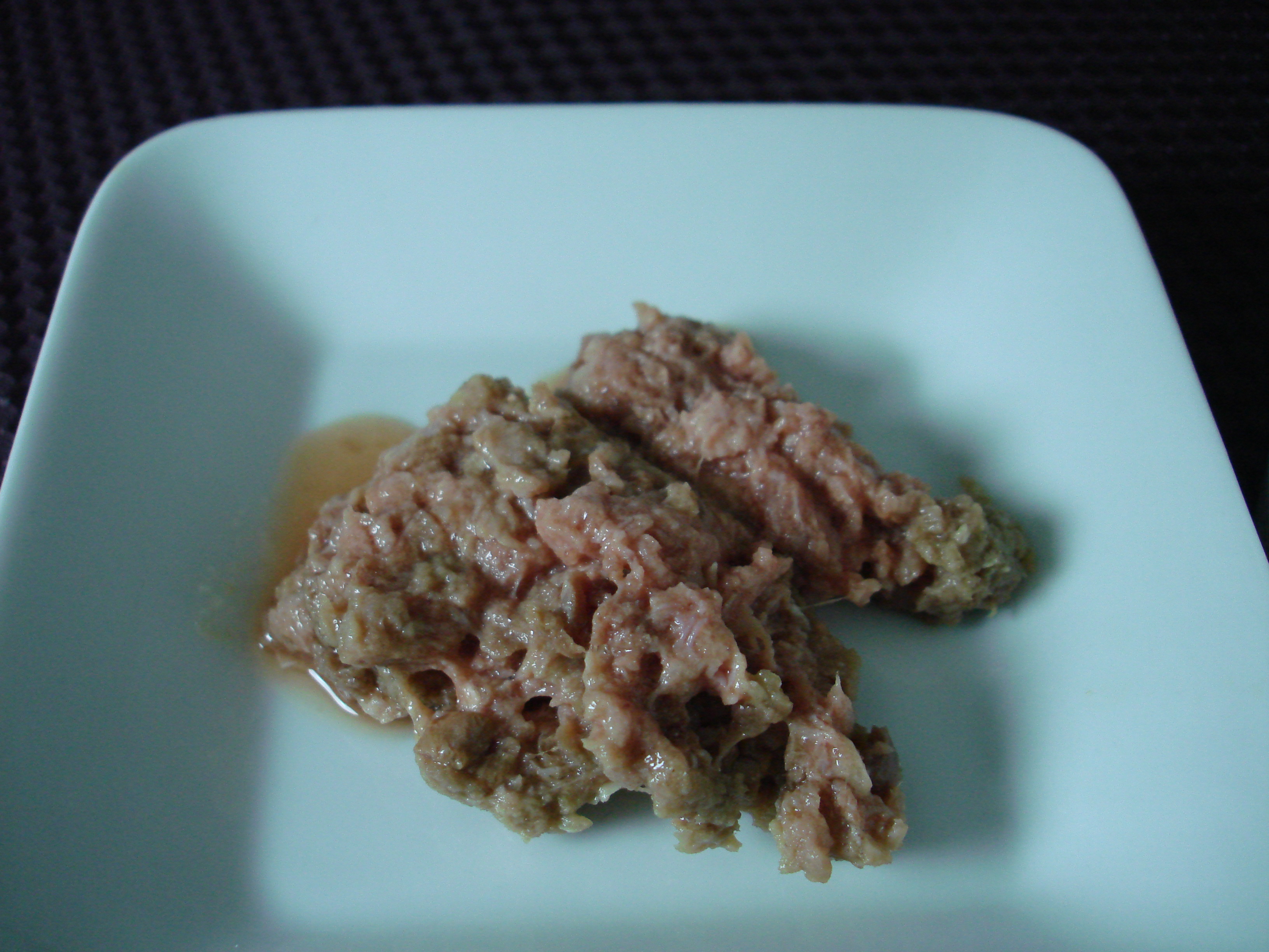 Portion of Rad Cat raw cat food on plate Turkey