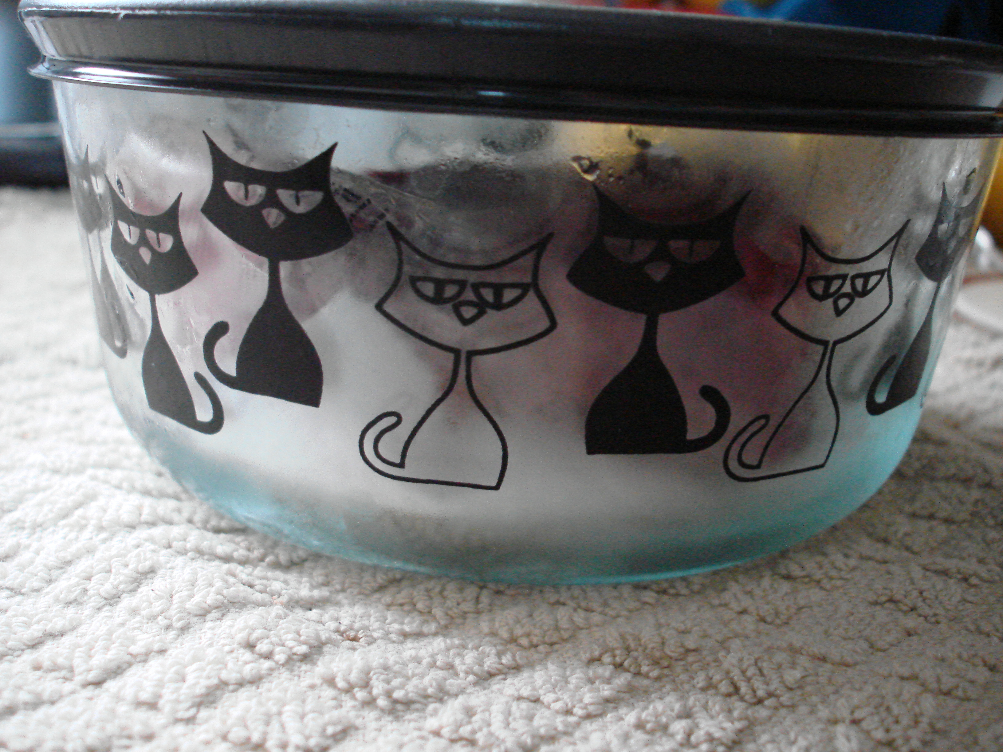 cat pyrex glass storage container