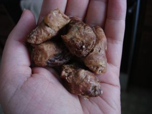 Vital Essentials chicken hearts treats
